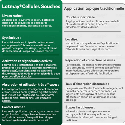 【Édition Exclusive Officiellement Autorisée】Lotmay® Sérum Oral de Cellules Souches et Peptides de Collagène 🛒(Raffermit et Tonifie la Peau Relâchée & Réduit la Formation de Rides）🌸